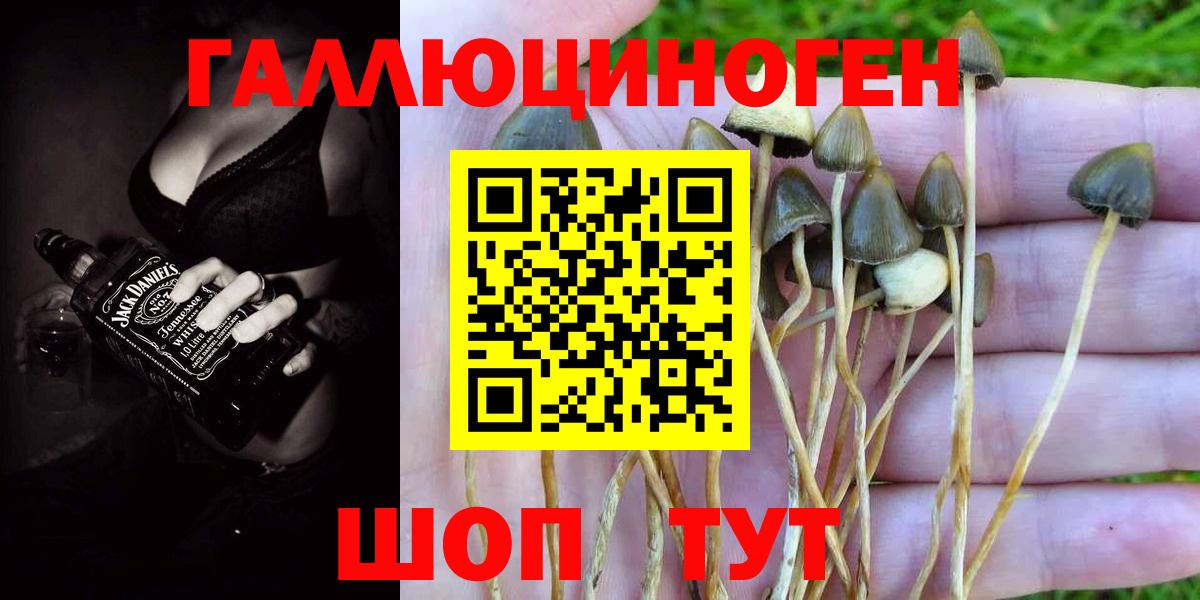 Ноябрьск  Галлюциногенные грибы Cubensis  Вход с VPN  Псилоцибиновые грибы Magic Shrooms 